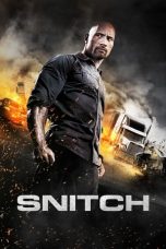 Snitch (2013) Snitch (2013)