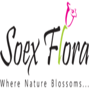 Soex Flora