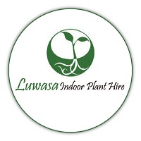 Luwasa Indoor Plant Hire