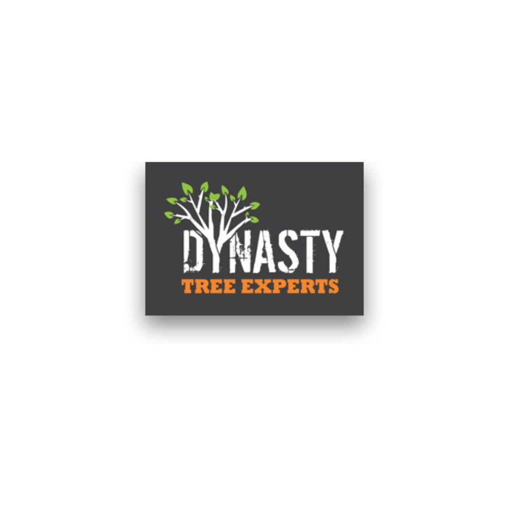 Dynasty Tree Experts