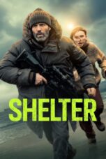 Shelter (2026)
